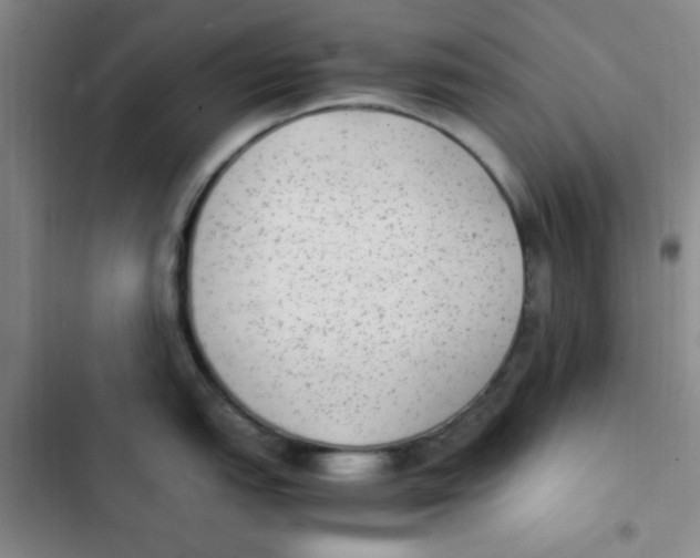 X0000102861151200809151205