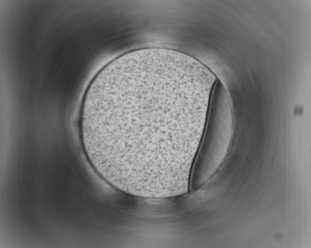 X0000102861152200809151205