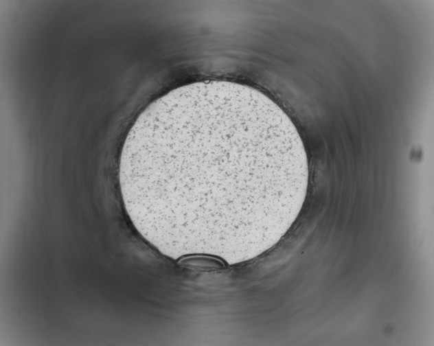 X0000102861153200809151204