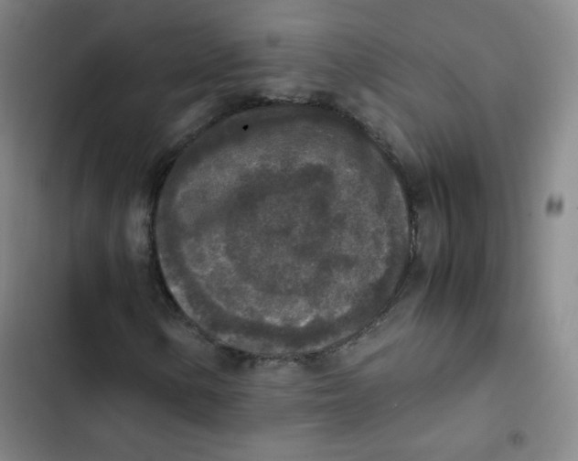 X0000102861154200809151204