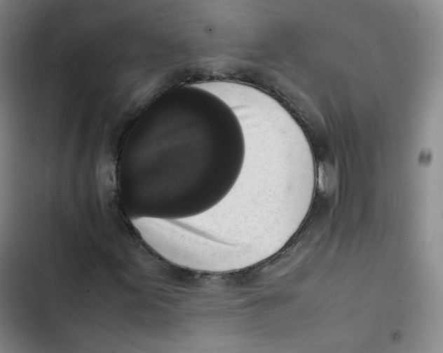 X0000102861155200809151204