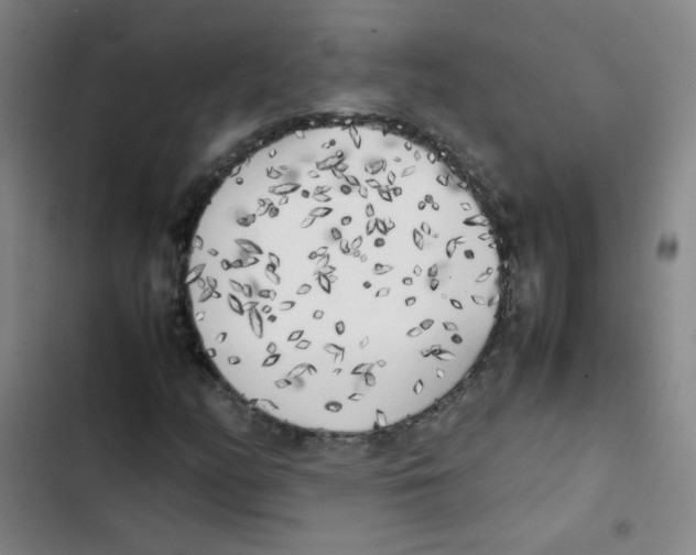 X0000102861158200809151204