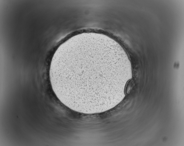 X0000102861159200809151204