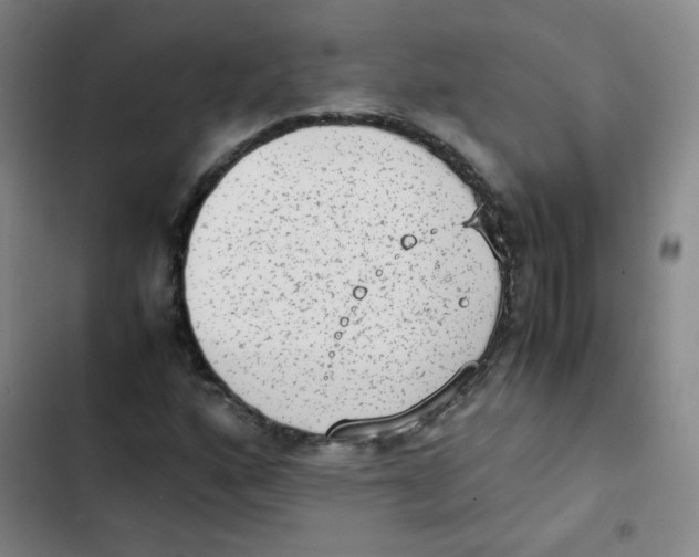 X0000102861160200809151204