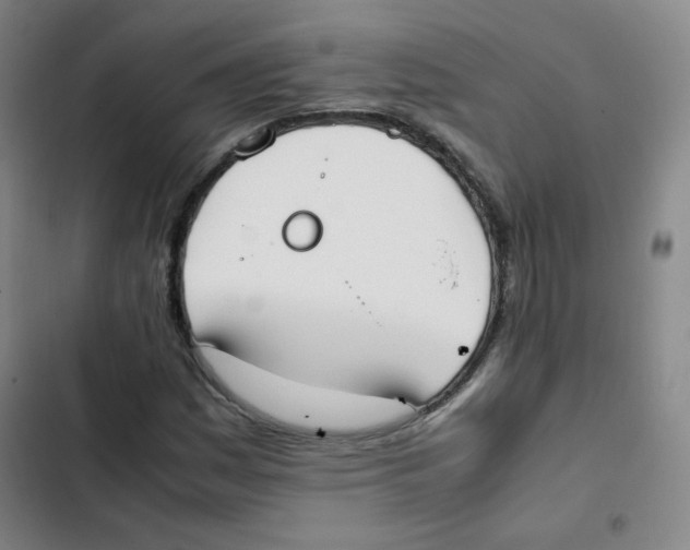 X0000102861161200809151204