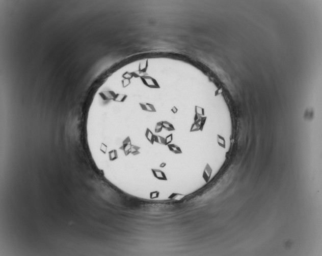 X0000102861163200809151204