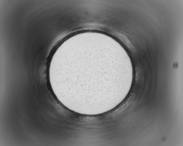 X0000102861164200809151204