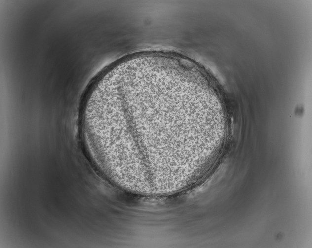 X0000102861165200809151204