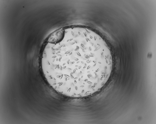 X0000102861166200809151204