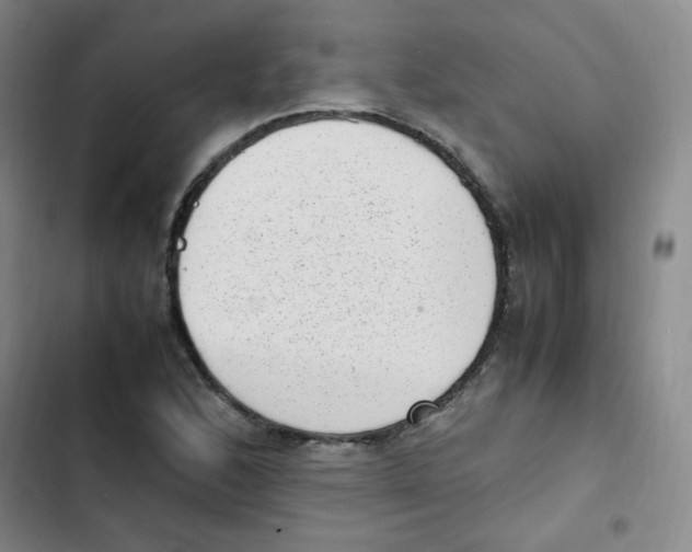 X0000102861168200809151204