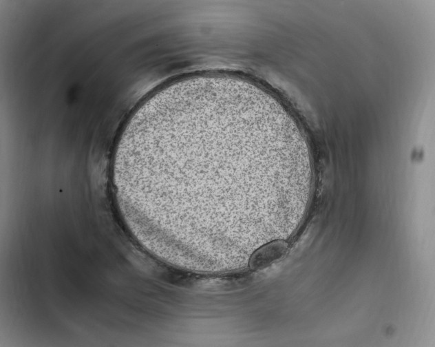 X0000102861169200809151204