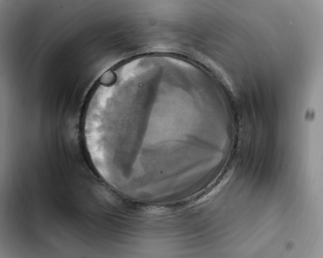 X0000102861170200809151204