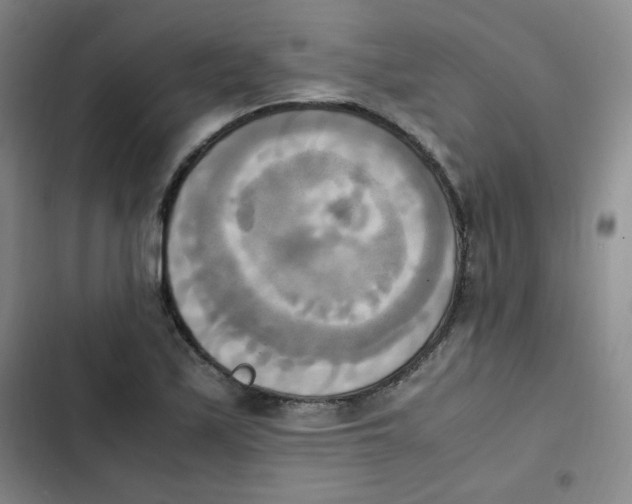 X0000102861171200809151204