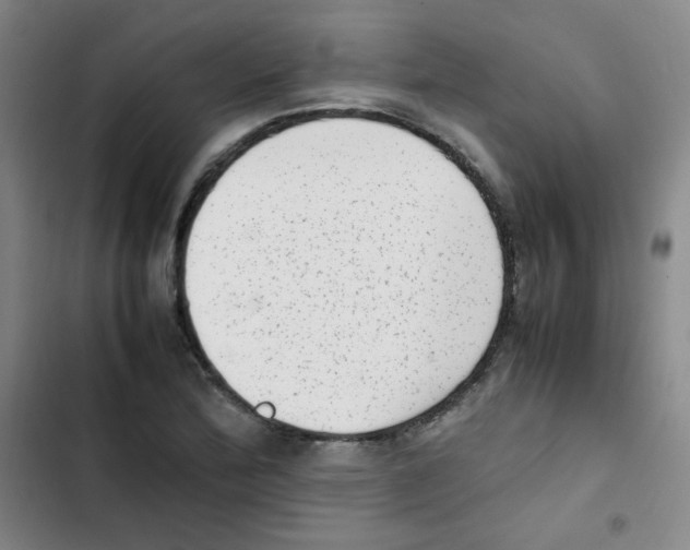 X0000102861172200809151204