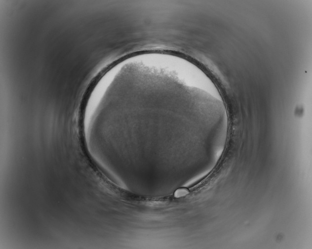 X0000102861173200809151204