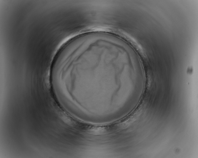 X0000102861174200809151204