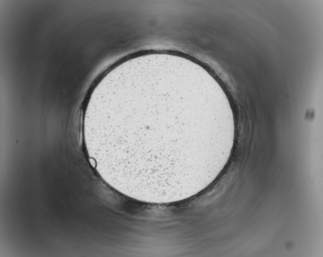 X0000102861175200809151204