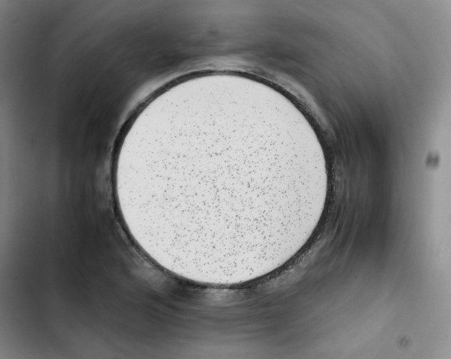 X0000102861176200809151204