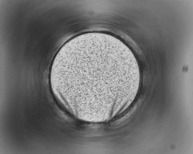 X0000102861177200809151204