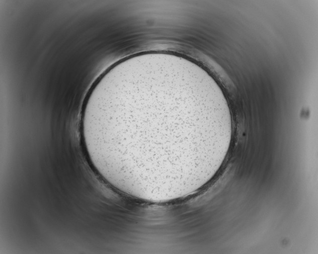 X0000102861178200809151204