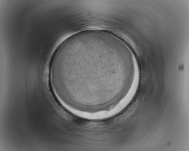 X0000102861179200809151204