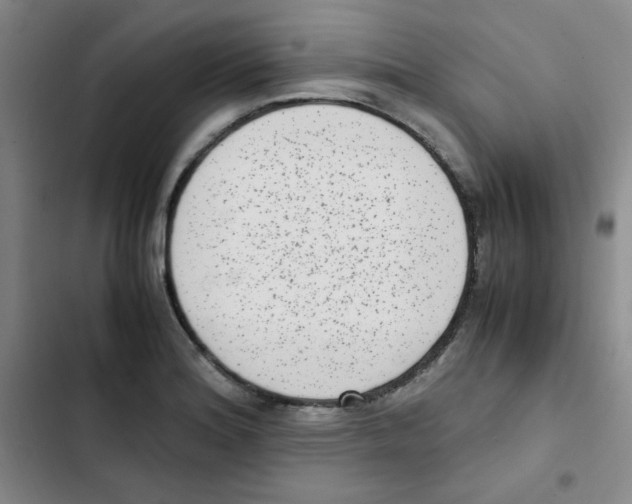 X0000102861180200809151204