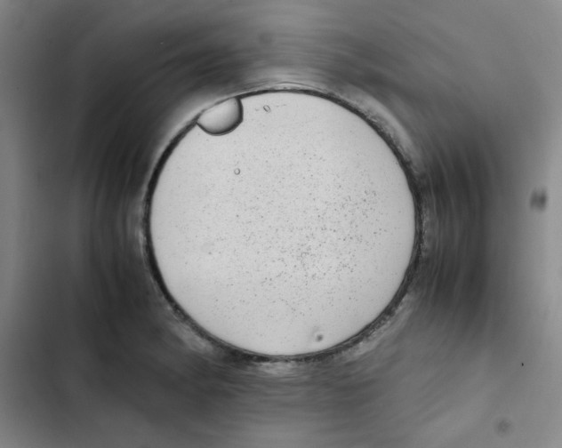 X0000102861182200809151204