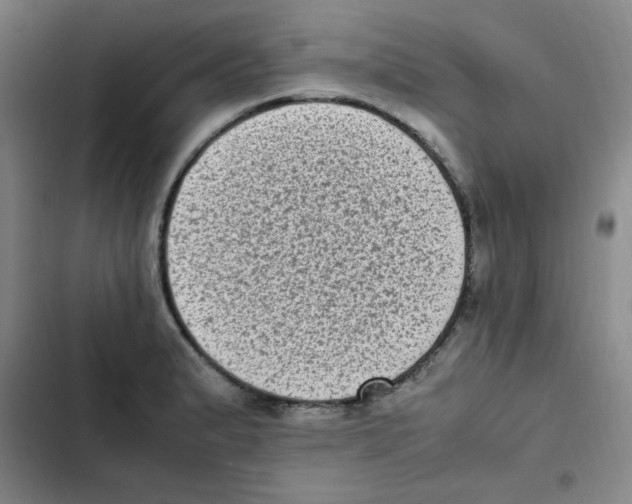 X0000102861183200809151204