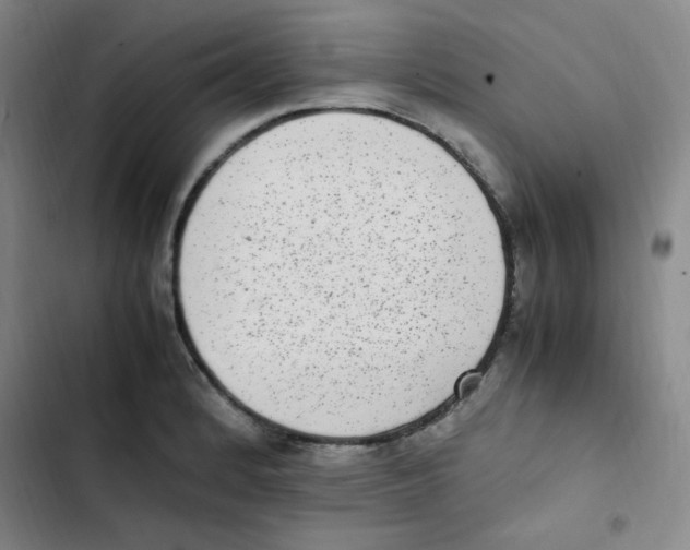 X0000102861184200809151204