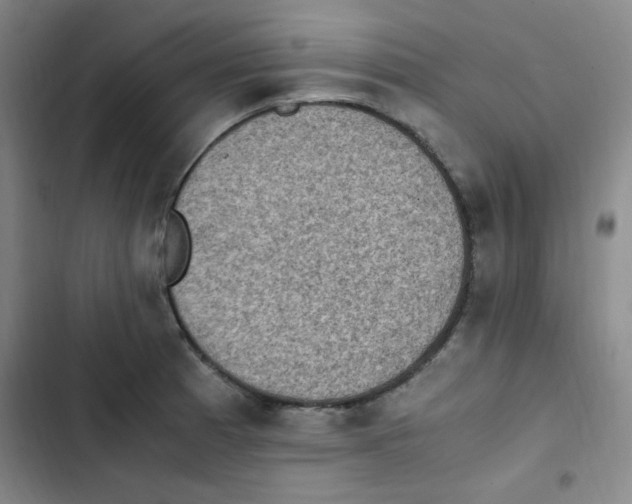 X0000102861185200809151204