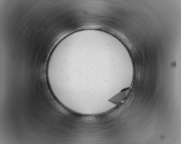 X0000102861186200809151204