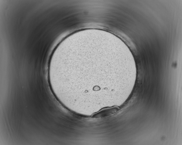 X0000102861188200809151204