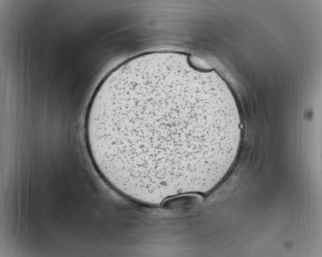 X0000102861189200809151204