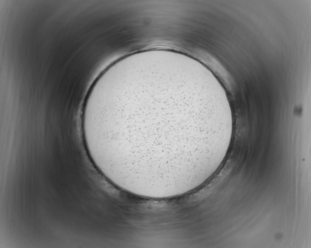 X0000102861190200809151204