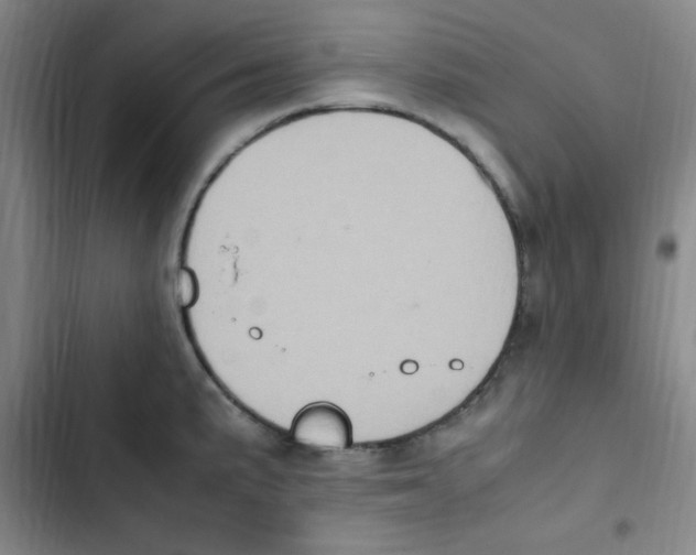 X0000102861191200809151204