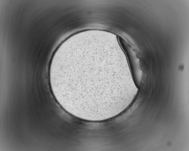 X0000102861192200809151203