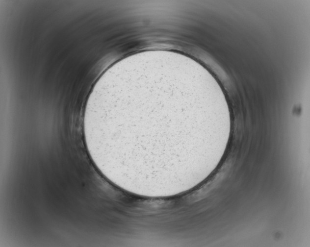 X0000102861193200809151203