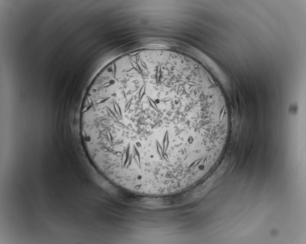 X0000102861194200809151203