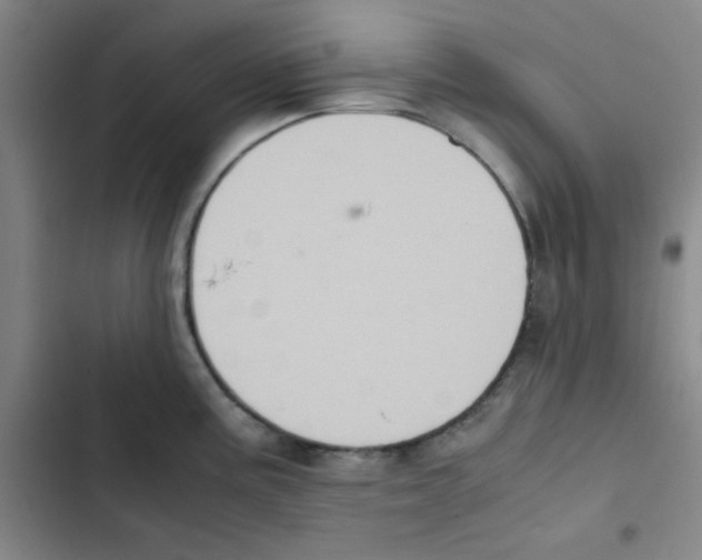 X0000102861195200809151203