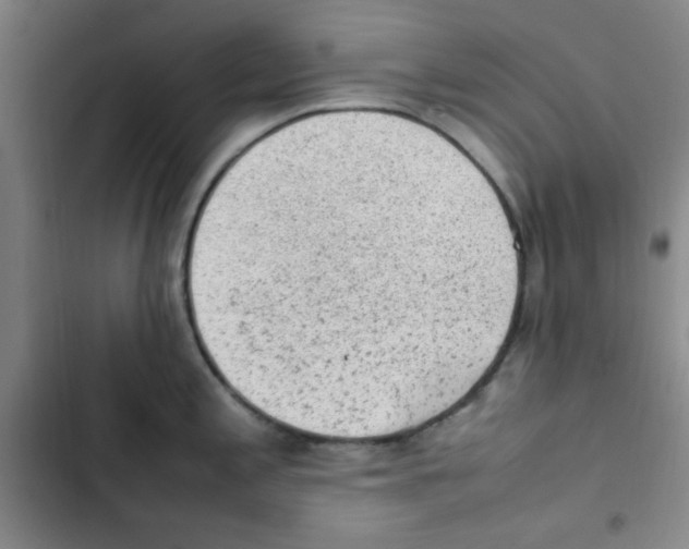 X0000102861197200809151203