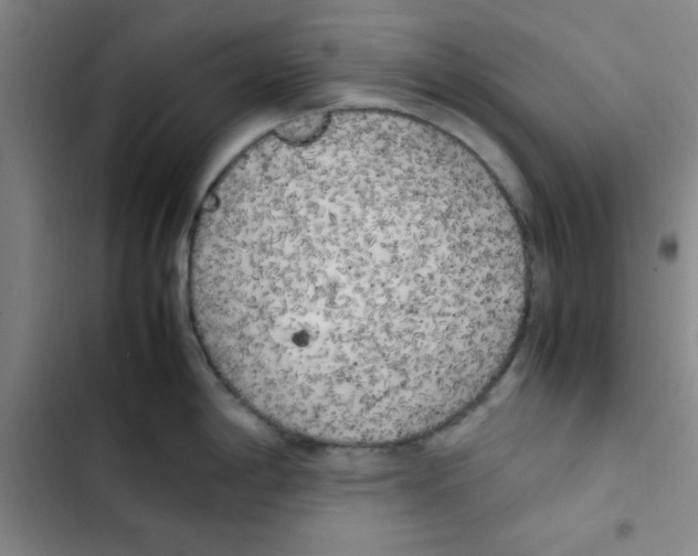 X0000102861198200809151203