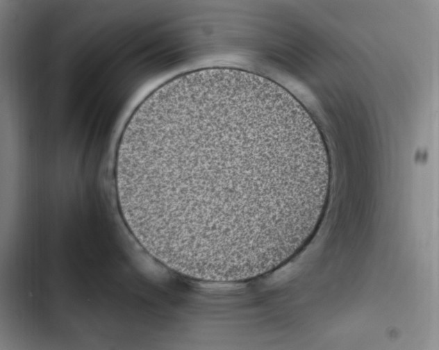 X0000102861200200809151203