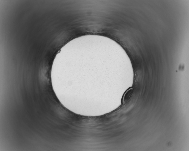 X0000102861202200809151203