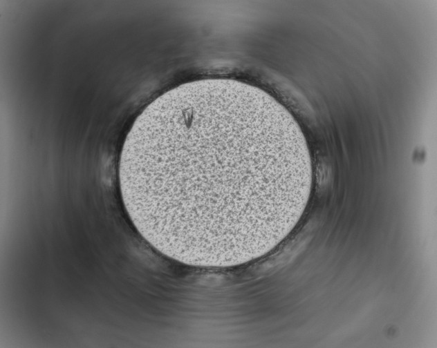 X0000102861204200809151203