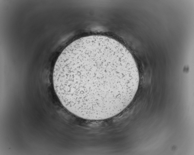 X0000102861205200809151203