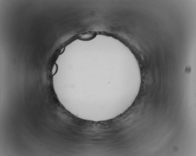 X0000102861207200809151203