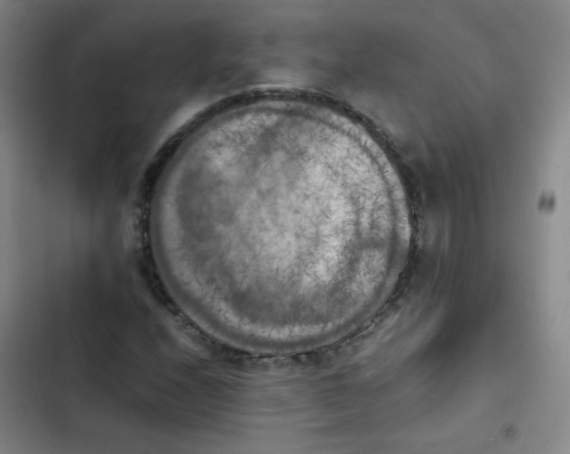 X0000102861208200809151203