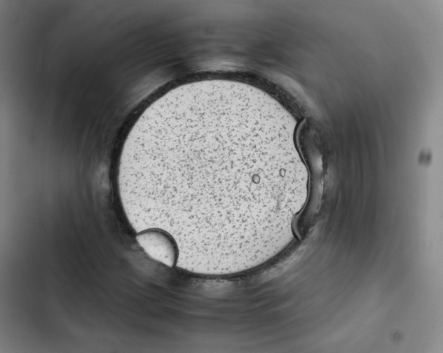 X0000102861209200809151203