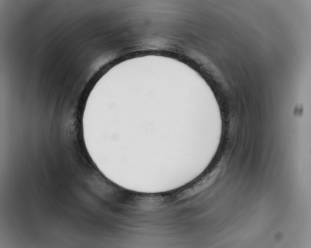 X0000102861210200809151203