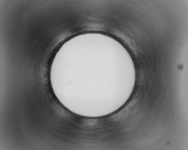 X0000102861211200809151203